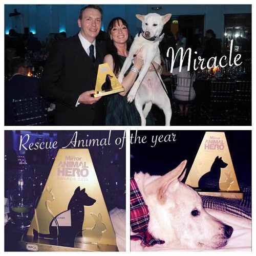 a dog is man's best friend meaning