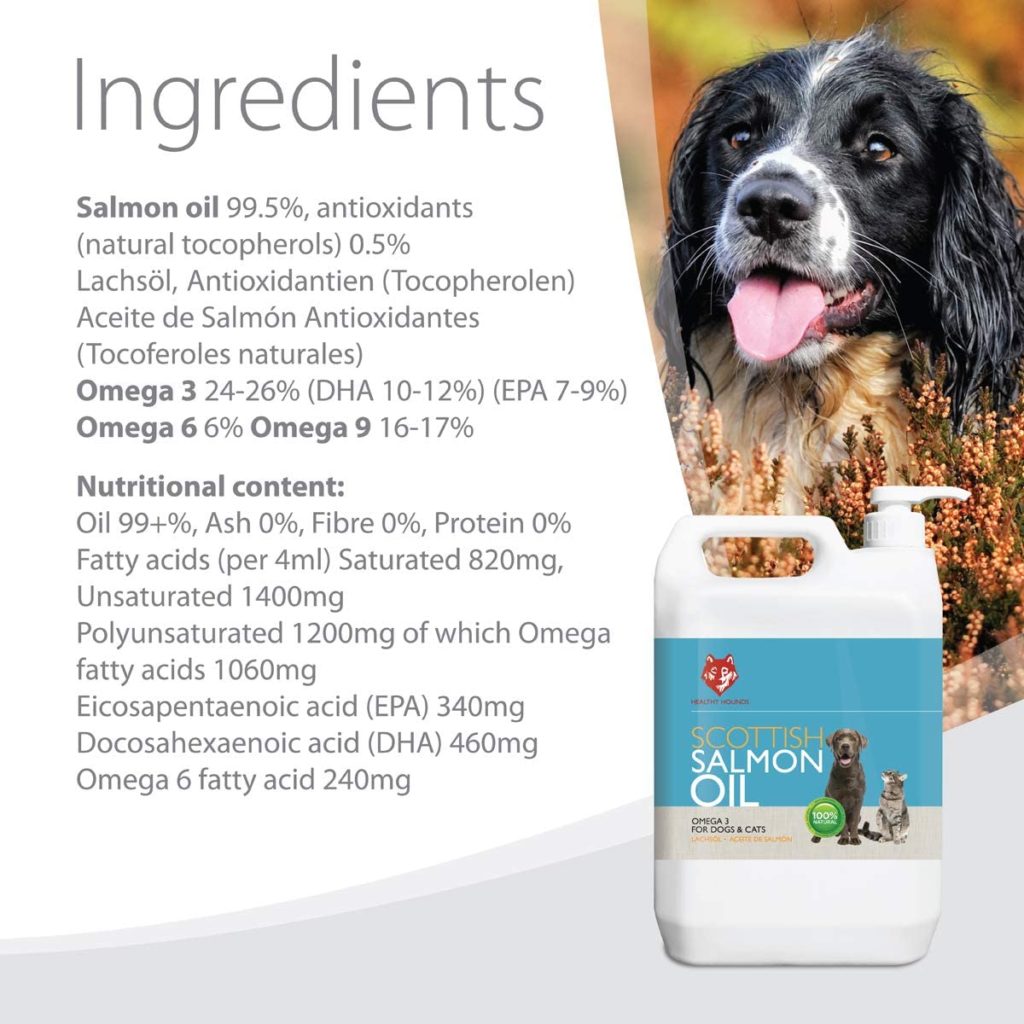 Best Fish Oil For Dogs (Guide Updated July 2021)