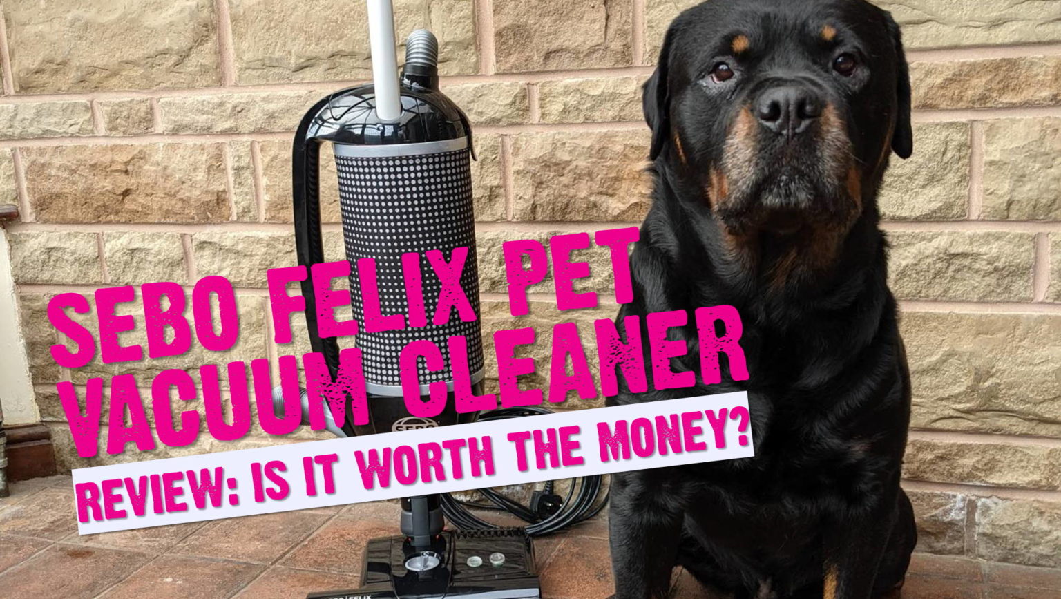 SEBO Felix Pet Vacuum Cleaner Review • K9 Magazine