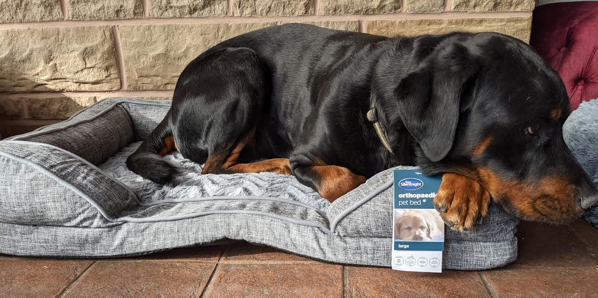Review Silentnight AntiAnxiety Donut Pet Bed & Silentnight